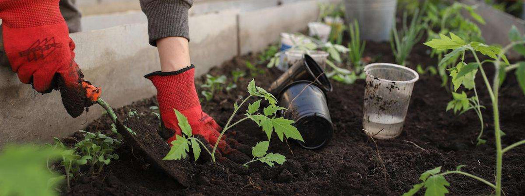 Why You Need a UPF Certified Garden Hat This Summer